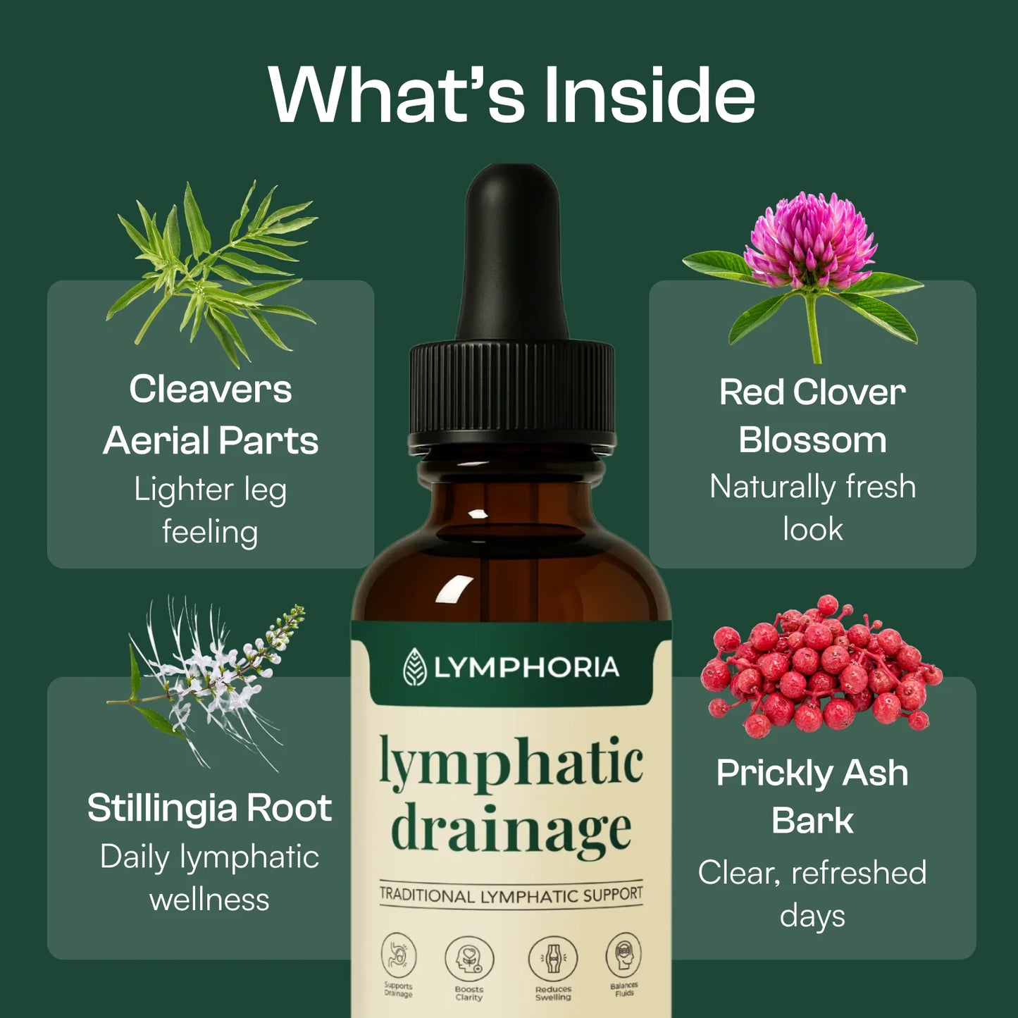 Lymphoria® Lymphatic Drainage Drops